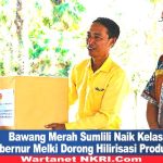 Bawang Merah Sumlili Naik Kelas, Gubernur Melki Dorong Hilirisasi Produk Desa Bawang Merah Sumlili Naik Kelas, Gubernur Melki Dorong Hilirisasi Produk Desa
