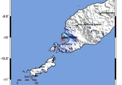 Gempa M4,8 kembali mengguncang Kupang akibat aktivitas sesar aktif